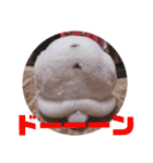 うさぎのこーやん＆ほーちゃん（個別スタンプ：4）