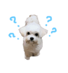 臣の日常（個別スタンプ：1）