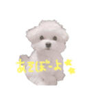 臣の日常（個別スタンプ：6）