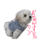 臣の日常（個別スタンプ：7）