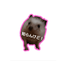 チェロキー（個別スタンプ：1）