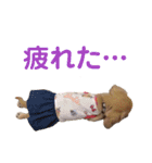 シューとミーとモー②（個別スタンプ：4）