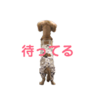 シューとミーとモー②（個別スタンプ：6）