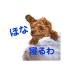 シューとミーとモー②（個別スタンプ：8）