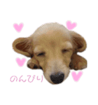 シューとミーとモー②（個別スタンプ：9）