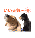 シューとミーとモー②（個別スタンプ：10）