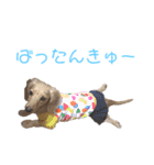 シューとミーとモー②（個別スタンプ：14）