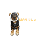 いつものお話（個別スタンプ：6）