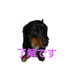 いつものお話（個別スタンプ：11）