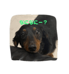 いつものお話（個別スタンプ：12）