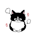 ハチワレもふこ（個別スタンプ：2）