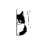 ハチワレもふこ（個別スタンプ：4）