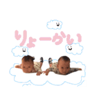 陽翔くんと陽向くんのスタンプ（個別スタンプ：4）