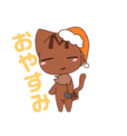 親切な猫ちゃんの今日の一言（個別スタンプ：19）