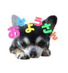 ヴァレンちゃん（個別スタンプ：1）