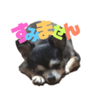 ヴァレンちゃん（個別スタンプ：9）