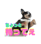 ヴァレンちゃん（個別スタンプ：28）