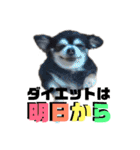 ヴァレンちゃん（個別スタンプ：35）
