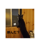 エンゾと山椒（個別スタンプ：8）