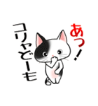 こんな猫いる！？（個別スタンプ：16）