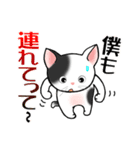 こんな猫いる！？（個別スタンプ：17）