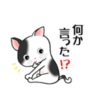 こんな猫いる！？（個別スタンプ：19）