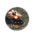 スギモトケ（個別スタンプ：21）