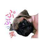 僕の名前はジェイソン（個別スタンプ：10）