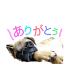 僕の名前はジェイソン（個別スタンプ：11）