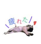 僕の名前はジェイソン（個別スタンプ：12）