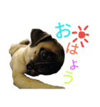 僕の名前はジェイソン（個別スタンプ：14）