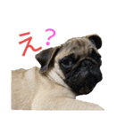 僕の名前はジェイソン（個別スタンプ：22）