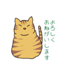 キジトラ猫の毎日使いやすいスタンプ（個別スタンプ：3）