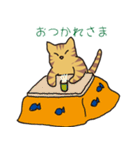 キジトラ猫の毎日使いやすいスタンプ（個別スタンプ：5）