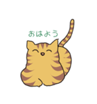 キジトラ猫の毎日使いやすいスタンプ（個別スタンプ：6）