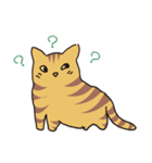 キジトラ猫の毎日使いやすいスタンプ（個別スタンプ：7）