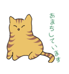 キジトラ猫の毎日使いやすいスタンプ（個別スタンプ：10）