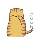 キジトラ猫の毎日使いやすいスタンプ（個別スタンプ：13）