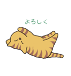 キジトラ猫の毎日使いやすいスタンプ（個別スタンプ：14）