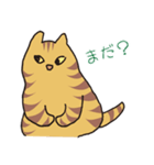 キジトラ猫の毎日使いやすいスタンプ（個別スタンプ：15）