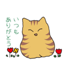 キジトラ猫の毎日使いやすいスタンプ（個別スタンプ：16）