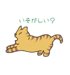 キジトラ猫の毎日使いやすいスタンプ（個別スタンプ：17）