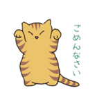 キジトラ猫の毎日使いやすいスタンプ（個別スタンプ：18）