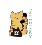 キジトラ猫の毎日使いやすいスタンプ（個別スタンプ：19）