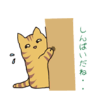 キジトラ猫の毎日使いやすいスタンプ（個別スタンプ：20）