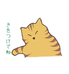 キジトラ猫の毎日使いやすいスタンプ（個別スタンプ：21）