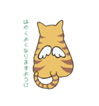 キジトラ猫の毎日使いやすいスタンプ（個別スタンプ：22）