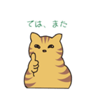 キジトラ猫の毎日使いやすいスタンプ（個別スタンプ：23）
