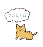 キジトラ猫の毎日使いやすいスタンプ（個別スタンプ：24）