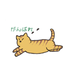キジトラ猫の毎日使いやすいスタンプ（個別スタンプ：25）